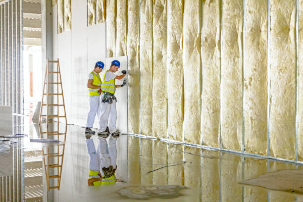 Best Insulation for Existing Homes  in Lowell, AR